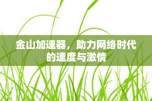 金山加速器，助力网络时代的速度与激情