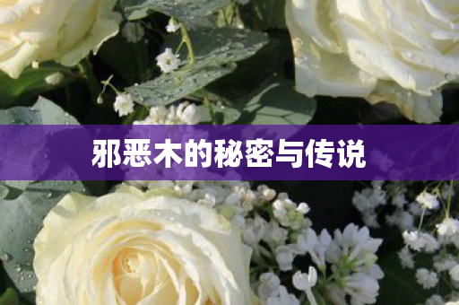 邪恶木的秘密与传说
