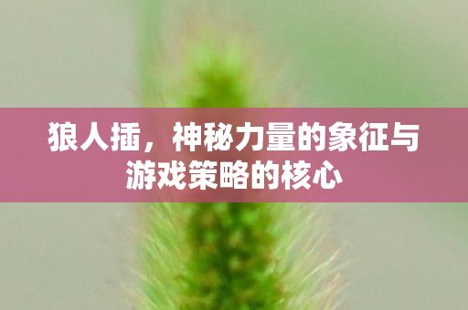 狼人插，神秘力量的象征与游戏策略的核心