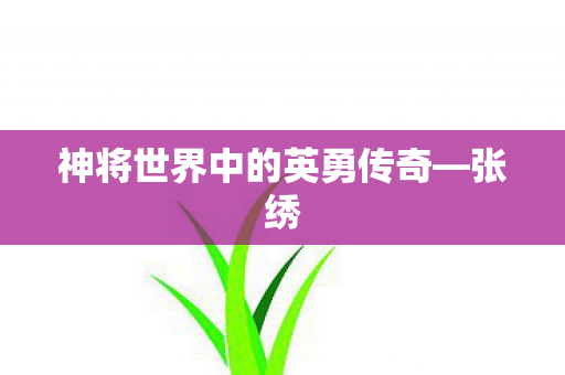 神将世界中的英勇传奇—张绣