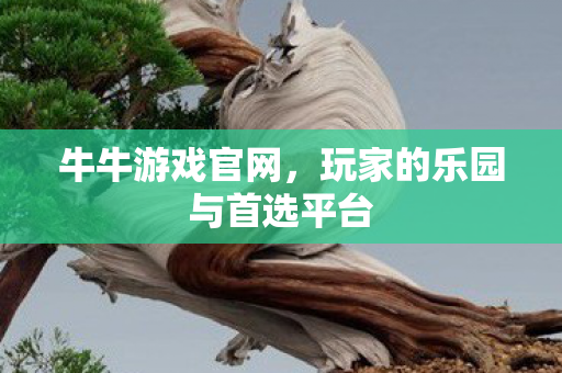 牛牛游戏官网，玩家的乐园与首选平台