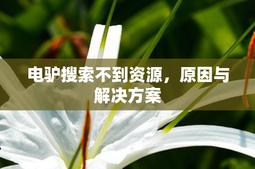 电驴搜索不到资源，原因与解决方案