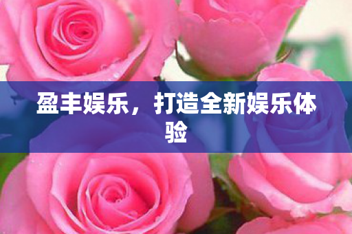 盈丰娱乐，打造全新娱乐体验