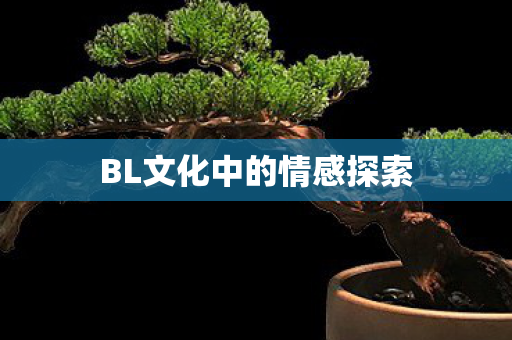 BL文化中的情感探索