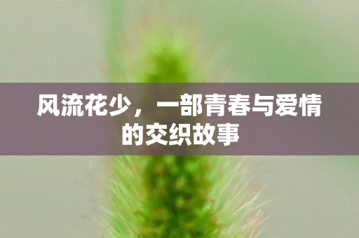 风流花少，一部青春与爱情的交织故事