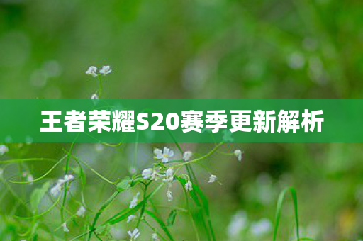 王者荣耀S20赛季更新解析