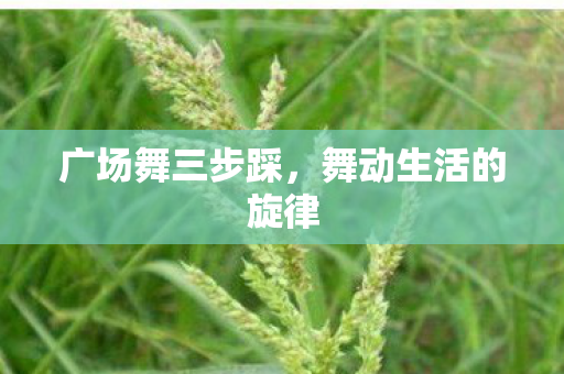 广场舞三步踩，舞动生活的旋律