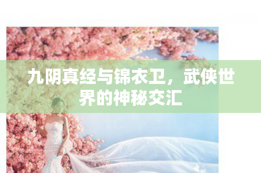 九阴真经与锦衣卫，武侠世界的神秘交汇