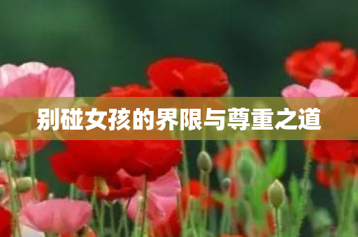 别碰女孩的界限与尊重之道