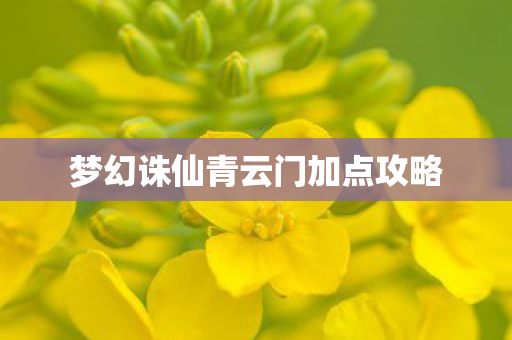 梦幻诛仙青云门加点攻略