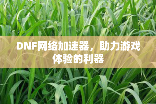 DNF网络加速器，助力游戏体验的利器