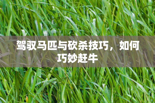 驾驭马匹与砍杀技巧，如何巧妙赶牛