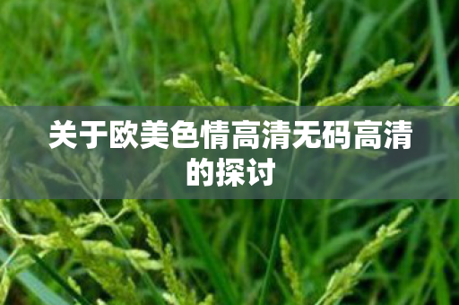 关于欧美色情高清无码高清的探讨