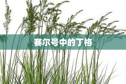 赛尔号中的丁格