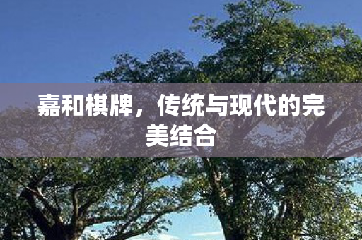 嘉和棋牌，传统与现代的完美结合