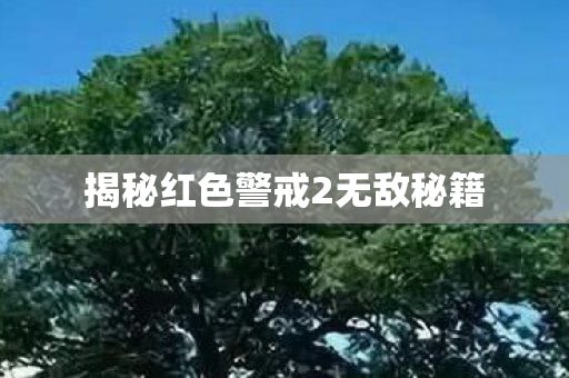 揭秘红色警戒2无敌秘籍