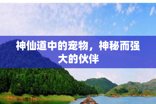 神仙道中的宠物，神秘而强大的伙伴