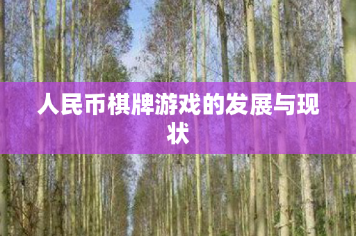 人民币棋牌游戏的发展与现状