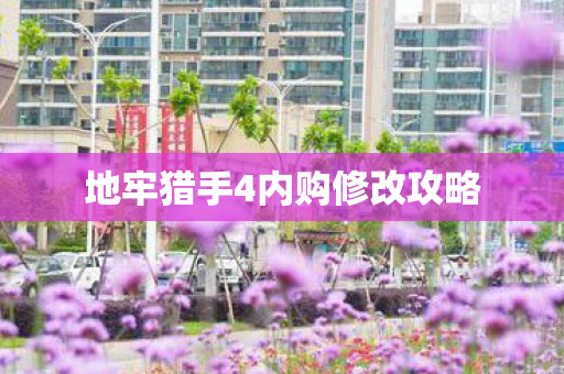地牢猎手4内购修改攻略