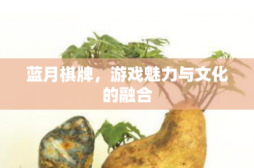 蓝月棋牌，游戏魅力与文化的融合
