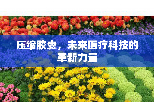 压缩胶囊，未来医疗科技的革新力量