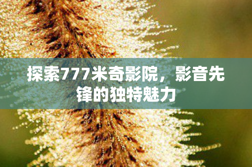 探索777米奇影院，影音先锋的独特魅力