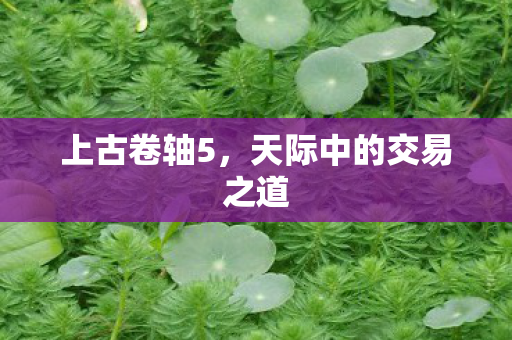 上古卷轴5,天际中的交易之道
