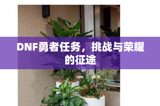 DNF勇者任务,挑战与荣耀的征途