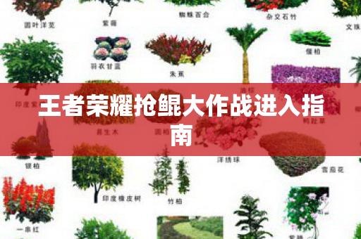 王者荣耀抢鲲大作战进入指南