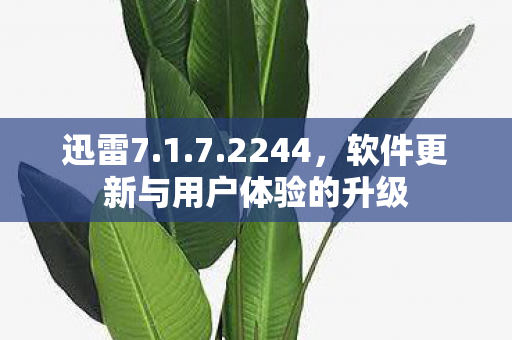 迅雷7.1.7.2244，软件更新与用户体验的升级