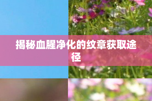 揭秘血腥净化的纹章获取途径