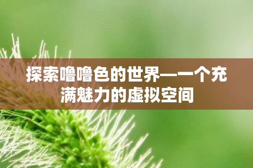 探索噜噜色的世界—一个充满魅力的虚拟空间