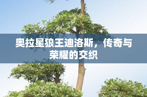 奥拉星狼王迪洛斯，传奇与荣耀的交织