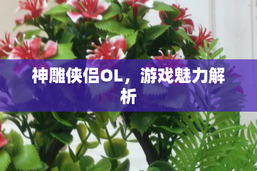 神雕侠侣OL，游戏魅力解析