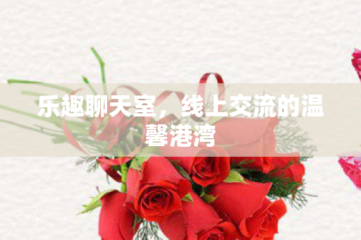 乐趣聊天室，线上交流的温馨港湾