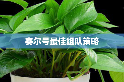 赛尔号最佳组队策略