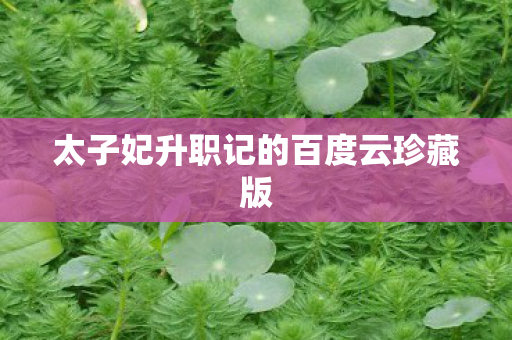 太子妃升职记的百度云珍藏版