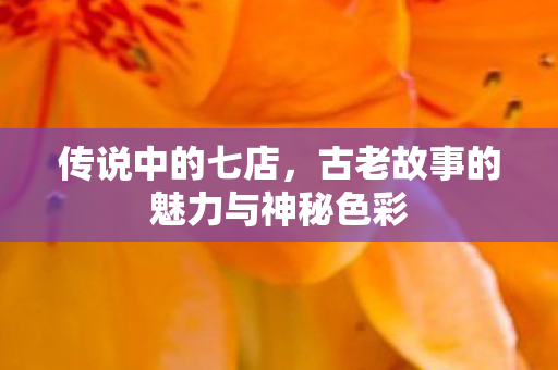 传说中的七店,古老故事的魅力与神秘色彩 传说中的七店,古老故事的魅力与神秘色彩