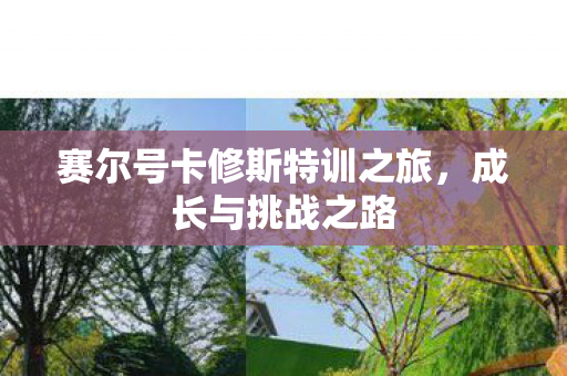 赛尔号卡修斯特训之旅，成长与挑战之路