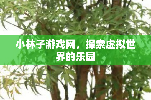 小林子游戏网，探索虚拟世界的乐园