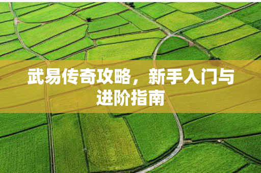 武易传奇攻略，新手入门与进阶指南