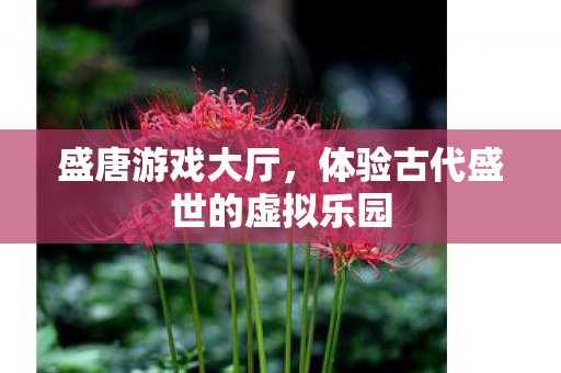 盛唐游戏大厅，体验古代盛世的虚拟乐园