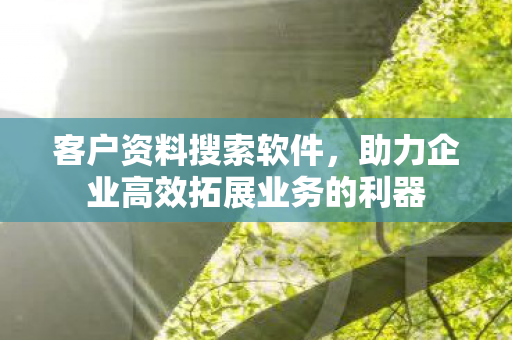 客户资料搜索软件，助力企业高效拓展业务的利器