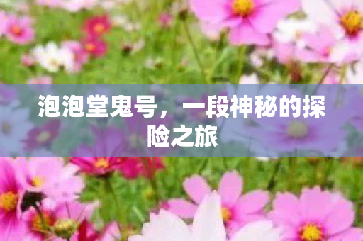 泡泡堂鬼号，一段神秘的探险之旅