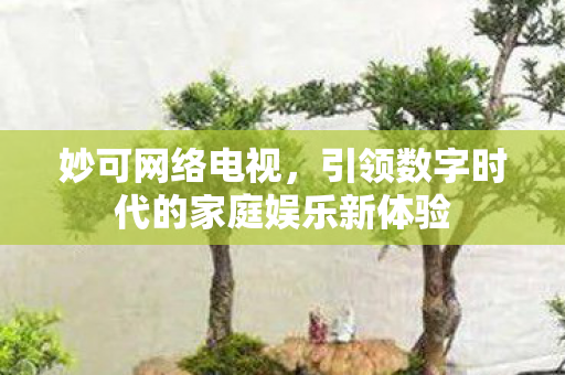 妙可网络电视，引领数字时代的家庭娱乐新体验