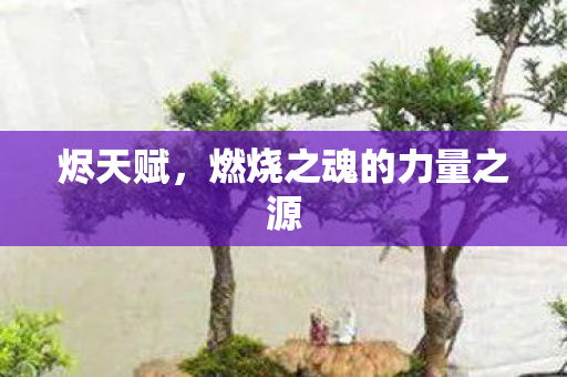 烬天赋，燃烧之魂的力量之源