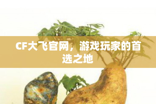 CF大飞官网，游戏玩家的首选之地
