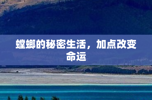 螳螂的秘密生活，加点改变命运