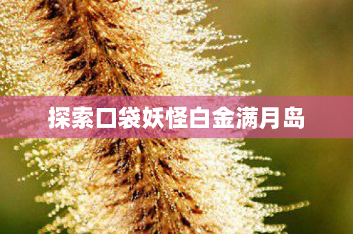 探索口袋妖怪白金满月岛