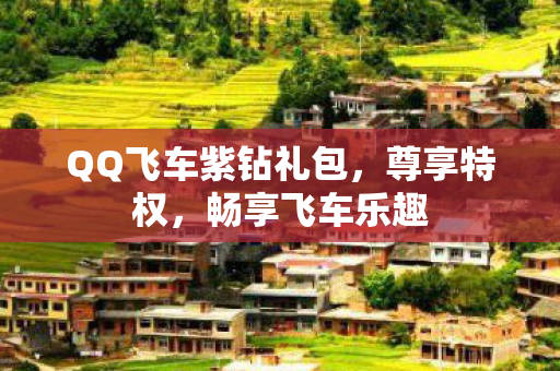 QQ飞车紫钻礼包，尊享特权，畅享飞车乐趣